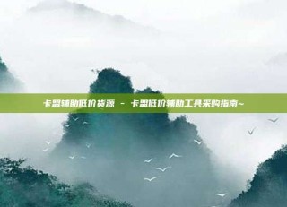 卡盟辅助低价货源 - 卡盟低价辅助工具采购指南~