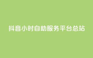 抖音24小时自助服务平台总站 - 抖音全天候自助服务平台一站式解决方案！