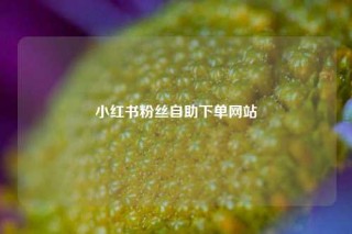 小红书粉丝自助下单网站