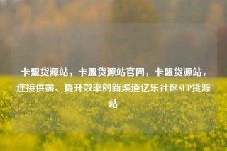 卡盟货源站，卡盟货源站官网，卡盟货源站，连接供需、提升效率的新渠道亿乐社区SUP货源站