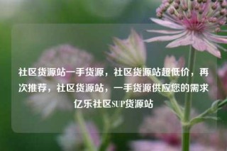 社区货源站一手货源，社区货源站超低价，再次推荐，社区货源站，一手货源供应您的需求亿乐社区SUP货源站