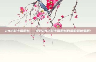 24小时卡盟粉丝 - 提升24小时卡盟粉丝数量的最佳策略!