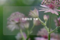 抖音粉丝 卡盟