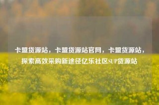 卡盟货源站，卡盟货源站官网，卡盟货源站，探索高效采购新途径亿乐社区SUP货源站