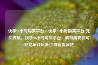 快手24小时购买平台，快手24小时购买平台1元买流量，快手24小时购买平台，解锁购物新可能亿乐社区低价自营货源站