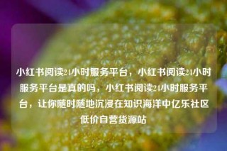 小红书阅读24小时服务平台，小红书阅读24小时服务平台是真的吗，小红书阅读24小时服务平台，让你随时随地沉浸在知识海洋中亿乐社区低价自营货源站