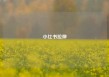 小红书拉伸