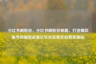 小红书刷粉丝，小红书刷粉丝秘籍，打造爆款账号的秘密武器亿乐社区低价自营货源站