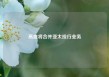 高盛将合并亚太投行业务