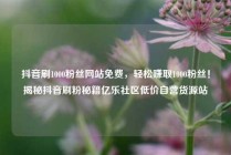 抖音刷1000粉丝网站免费，轻松赚取1000粉丝！揭秘抖音刷粉秘籍亿乐社区低价自营货源站