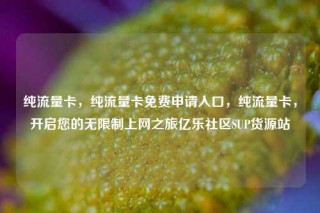 纯流量卡，纯流量卡免费申请入口，纯流量卡，开启您的无限制上网之旅亿乐社区SUP货源站