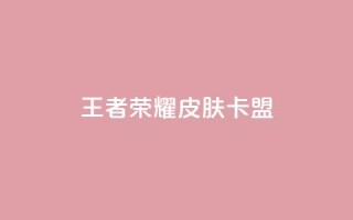 王者荣耀皮肤卡盟 - 王者荣耀皮肤卡盟，让你畅享丰富多彩的英雄皮肤世界~
