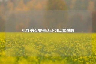 小红书专业号认证可以修改吗