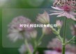 时空云网络科技有限公司