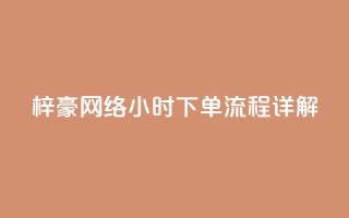 梓豪网络24小时下单流程详解,ks一元自助下单秒到账 - 快手点赞链接入口在哪里 - ks单真人粉丝
