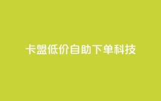 卡盟低价自助下单科技 - 卡盟提供便捷低价自助下单服务~