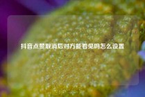 抖音点赞取消后对方能看见吗怎么设置