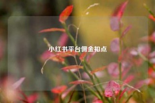 小红书平台佣金扣点