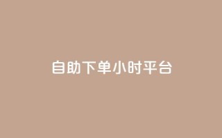 自助下单24小时平台,dy24小时在线下单 - 抖音卡盟全网最低价稳定卡盟 - ks助力平台
