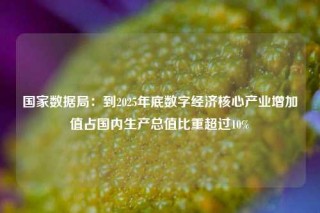 国家数据局：到2025年底数字经济核心产业增加值占国内生产总值比重超过10%