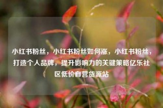 小红书粉丝，小红书粉丝如何涨，小红书粉丝，打造个人品牌，提升影响力的关键策略亿乐社区低价自营货源站