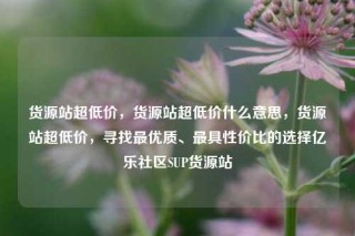 货源站超低价，货源站超低价什么意思，货源站超低价，寻找最优质、最具性价比的选择亿乐社区SUP货源站