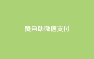Ks赞自助微信支付 - 微信卡盟