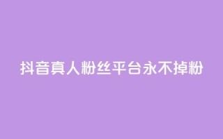 抖音真人粉丝平台 永不掉粉,qq刷访客软件手机版下载 - 抖音平台24小时自助 - qq低价说说赞空间说说的网站