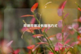 哔哩哔哩没有播放方式