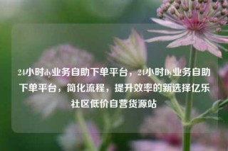 24小时dy业务自助下单平台，24小时Dy业务自助下单平台，简化流程，提升效率的新选择亿乐社区低价自营货源站