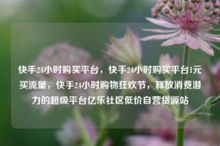 快手24小时购买平台，快手24小时购买平台1元买流量，快手24小时购物狂欢节，释放消费潜力的超级平台亿乐社区低价自营货源站