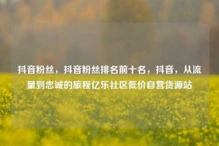 抖音粉丝，抖音粉丝排名前十名，抖音，从流量到忠诚的旅程亿乐社区低价自营货源站
