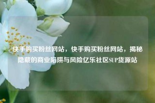 快手购买粉丝网站，快手购买粉丝网站，揭秘隐藏的商业陷阱与风险亿乐社区SUP货源站