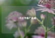小红书推广客服