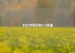 小红书每月扣19.9找谁