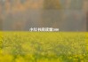 小红书阅读量3000