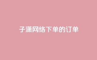 子潇网络下单的订单 - 黑科技引流工具快手