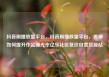 抖音刷播放量平台，抖音刷播放量平台，揭秘如何提升作品曝光率亿乐社区低价自营货源站