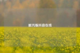 脏污版抖音在线