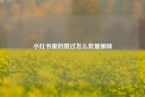 小红书里的赞过怎么批量删除