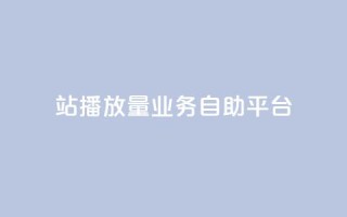 b站播放量业务自助平台 - B站推出自助平台助力播放量提升~