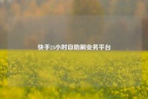 快手24小时自助刷业务平台