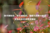 快手刷粉丝，快手刷粉丝，策略与效果分析亿乐社区低价自营货源站