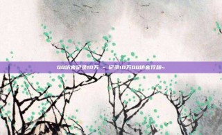 QQ访客记录10万 - 记录10万QQ访客行踪~