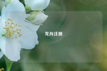 龙舟注册