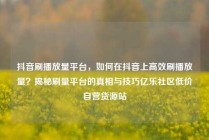 抖音刷播放量平台，如何在抖音上高效刷播放量？揭秘刷量平台的真相与技巧亿乐社区低价自营货源站