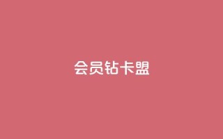 QQ会员钻卡盟 - QQ会员钻卡交易平台推荐与使用指南!