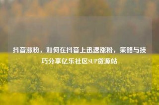 抖音涨粉，如何在抖音上迅速涨粉，策略与技巧分享亿乐社区SUP货源站