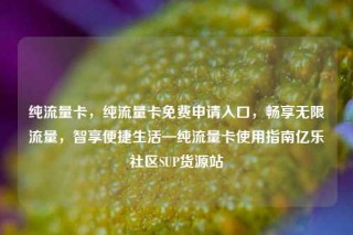 纯流量卡，纯流量卡免费申请入口，畅享无限流量，智享便捷生活—纯流量卡使用指南亿乐社区SUP货源站
