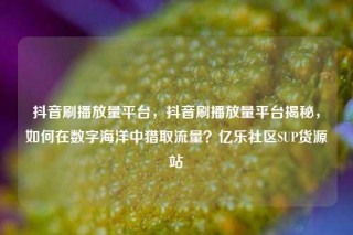 抖音刷播放量平台，抖音刷播放量平台揭秘，如何在数字海洋中猎取流量？亿乐社区SUP货源站